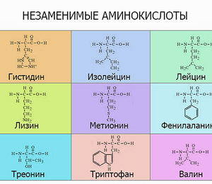 Заводы глубокой переработки зерна с последовательным выпуском незаменимых аминокислот