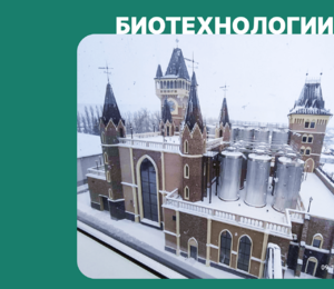 ЗАВКОМ-ИНЖИНИРИНГ запускает новый пивоваренный завод в Воронеже