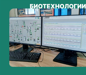 Автоматизация крупнейшей винодельни в Азербайджане