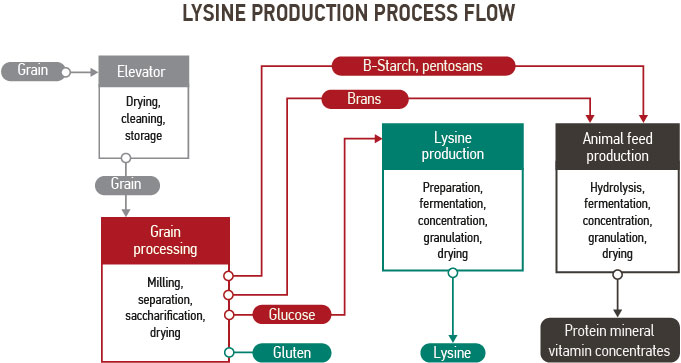 Lysine production